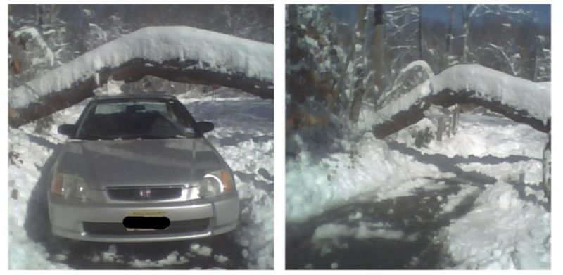 Дерево упало на машину с девушкой (5 фото)