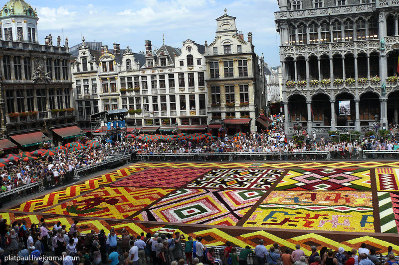 Брюссельский цветочный ковер (29 фото)